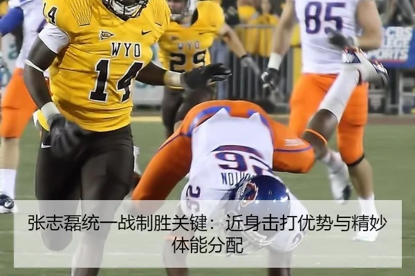 张志磊统一战制胜关键：近身击打优势与精妙体能分配